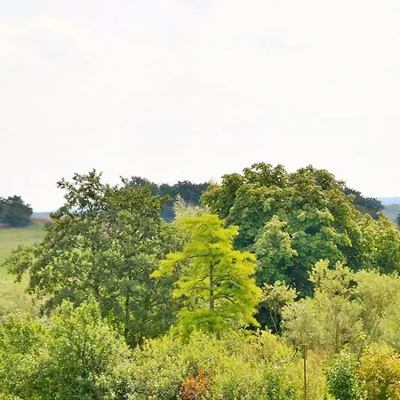 Apartament Jagdschloss Zu 9 *